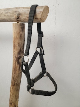Grimma stl föl