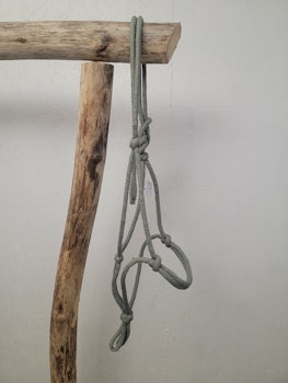 Repgrimma stl ponny