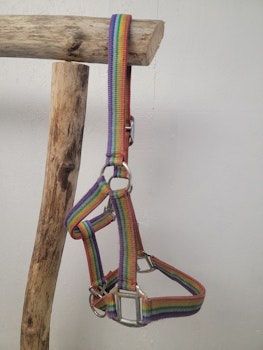 Grimma stl Shetland
