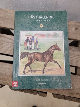 Hästhållning i praktiken
