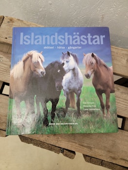 Islandshästar.  Skötsel hälsa gångarter
