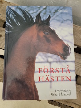 Förstå Hästen