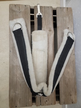 Westernbrösta stl ponny eller mindre cob