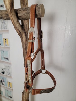 Visningsgrimma / showhalter stl Yearling från HKM Texas