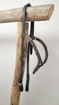 Islandsträns stl cob