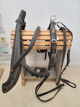 Loksele/finsele  lokornas totala längd 79 cm