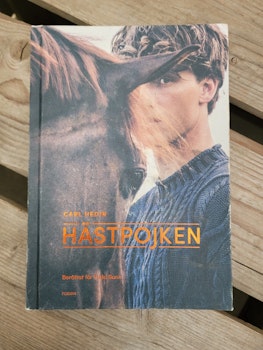 Hästpojken av Carl Hedin