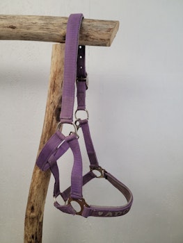Grimma stl ponny