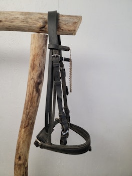 Achenträns svart stl ponny
