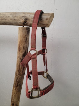 Grimma stl Shettis