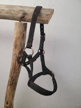 Grimma stl föl