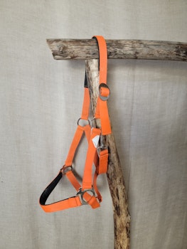 Grimma i orange stl full
