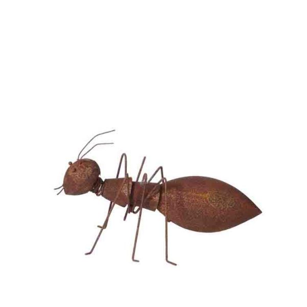 Rostig myra