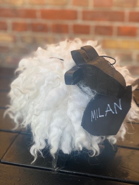 Mini-minifåret "Millan"