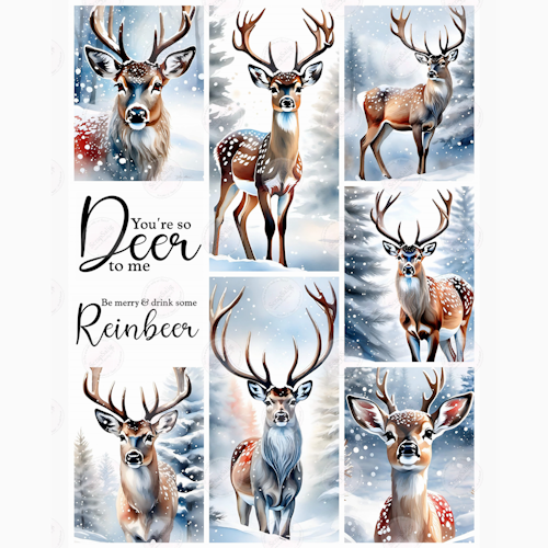 Klippark - WINTER WORLD, Deer to me