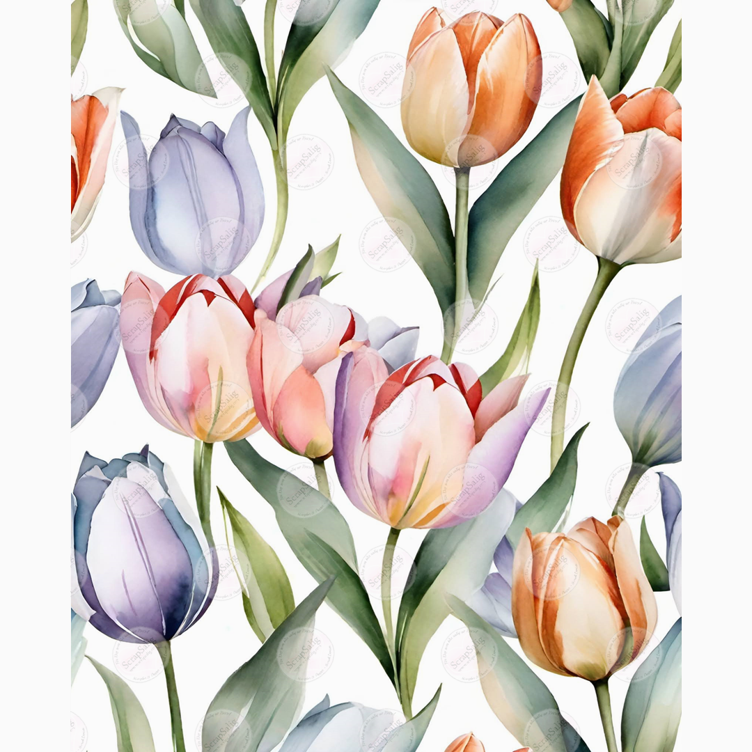 Designark - CELEBRATING WORLD, Fresh Tulips