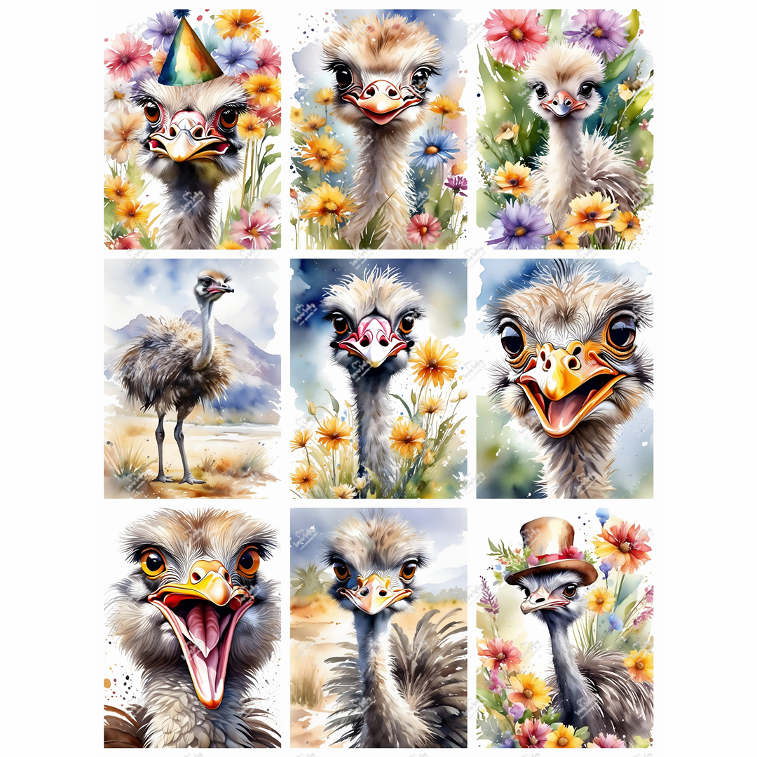 Klippark - CELEBRATING WORLD, Ostrich Party
