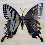 Väggdekoration - Fjäril i plåt (fler färger)