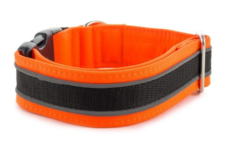 Reflex Hundhalsband Neon Orange