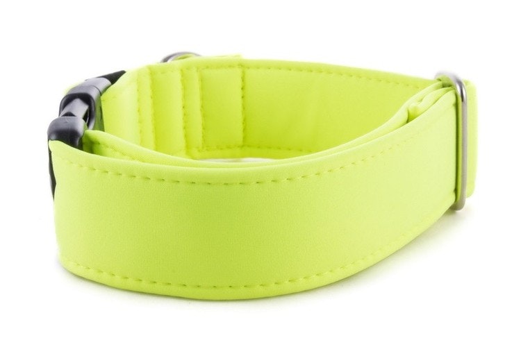 Hundhalsband Neon Gul