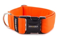 Hundhalsband Neon Orange