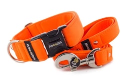 Hundhalsband Neon Orange