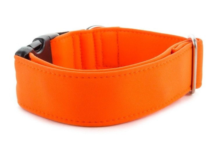 Hundhalsband Neon Orange