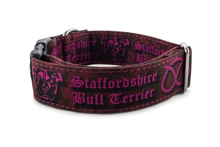 Hundhalsband Staffordshire Bull Terrier Rosa