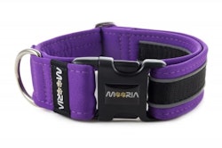 Reflex Hundhalsband Lila