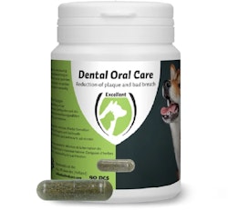 Dental oral care