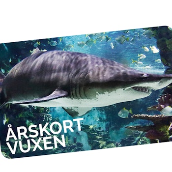 Årskort Vuxen 2024