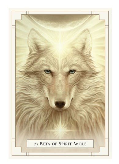 White Light Oracle Cards (Engelsk)