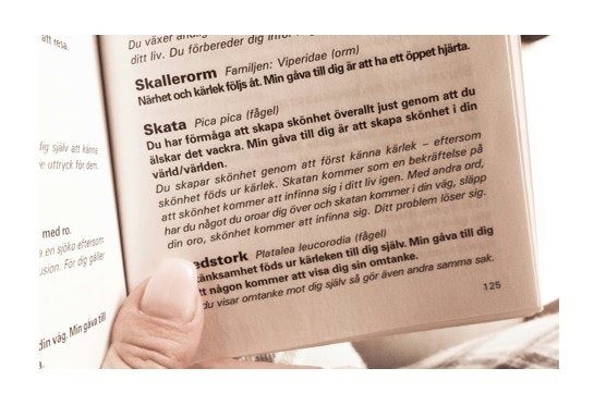 Djurens språk - häftad, Svenska, 2006 Carina Solöga