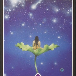 Osho zen tarot box (Svensk)