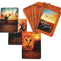 Native Spirit Oracle Cards (Engelsk)