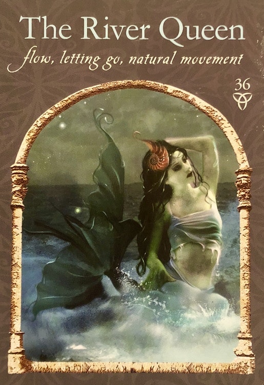 Wisdom of the Hidden Realms Oracle cards (Engelsk)