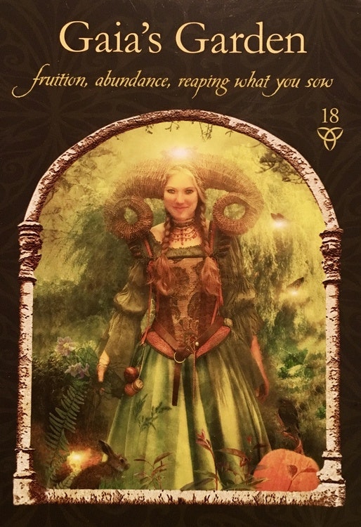 Wisdom of the Hidden Realms Oracle cards (Engelsk)