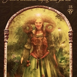 Wisdom of the Hidden Realms Oracle cards (Engelsk)