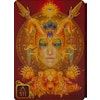 Dreams of Gaia tarot - Pocket Edition (Engelsk)