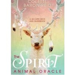 The spirit animal oracle (Engelsk)