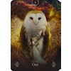 Divine Animals Oracle (Engelsk)