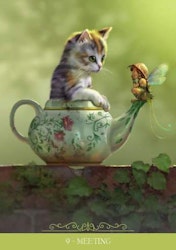 Fantasy Cats Oracle - Paolo Barbieri (Engelsk)