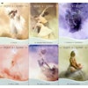 Women´s bodies, women´s wisdom oracle cards (Engelsk)