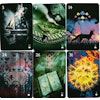 Healing Light Lenormand (Engelsk)