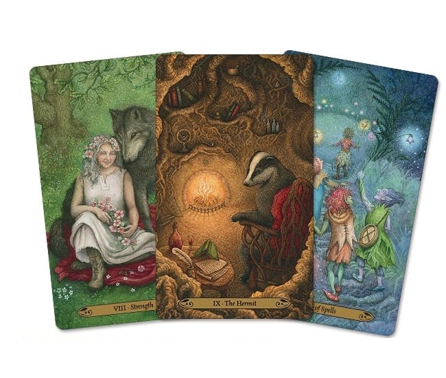 Forest of Enchantment Tarot (Engelsk)