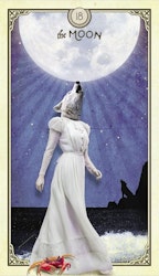 The Tarot of Curious Creatures  (Engelsk)