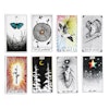 The Wild Unknown Tarot Deck and Guidebook (Engelsk)