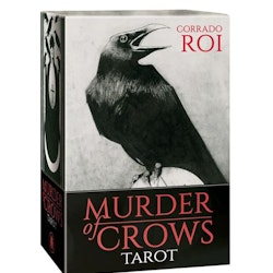 Murder of Crows Tarot (boxed) (Engelsk)
