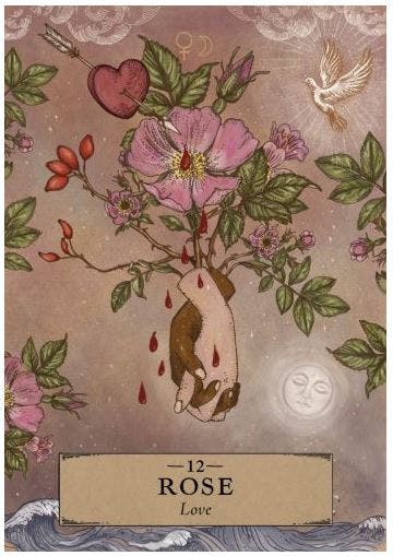 The Herbal Astrology Oracle (Engelsk) NYHET!