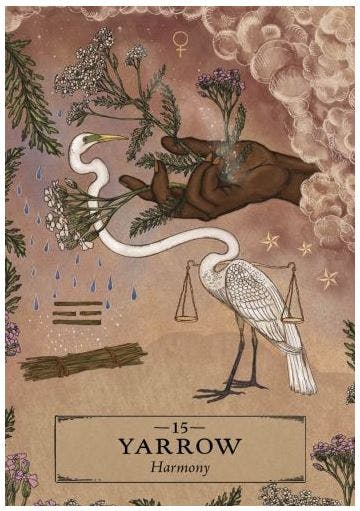 The Herbal Astrology Oracle (Engelsk) NYHET!